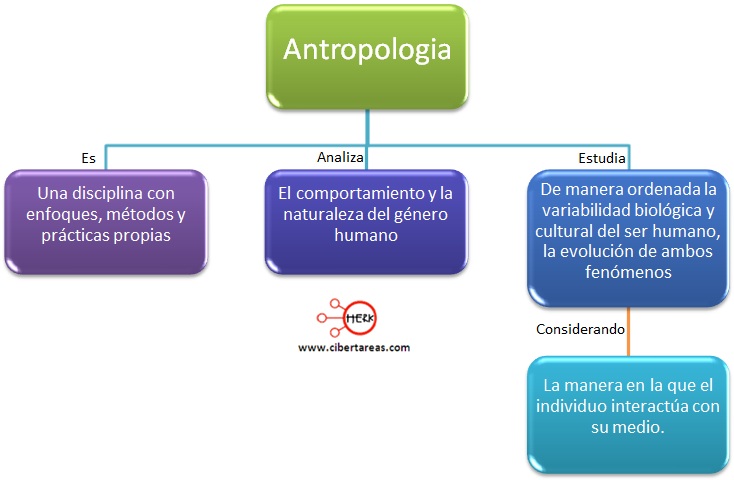 Antropología Introduccion a las ciencias sociales CiberTareas