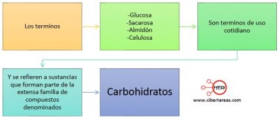 Carbohidratos Temas Selectos De Qu Mica Cibertareas