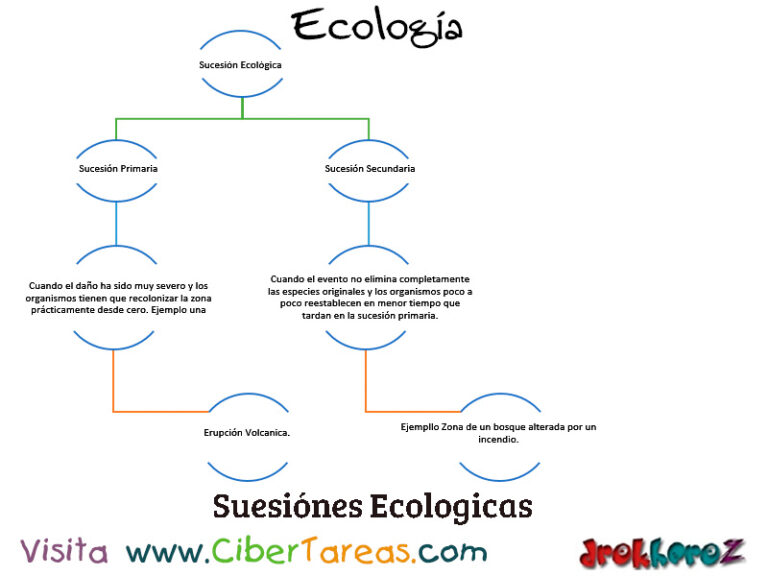 La Sucesión Ecológica Ecología Cibertareas 3546