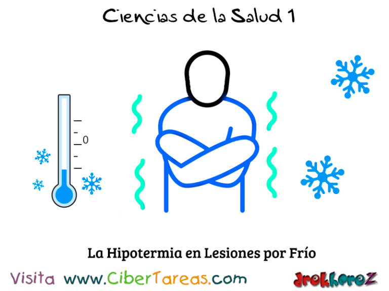 La Hipotermia En Lesiones Por Frío Y Calor – Ciencias De La Salud 1 ...