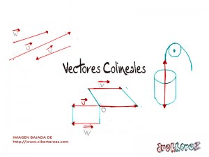 vectores colineales sistema de vectores