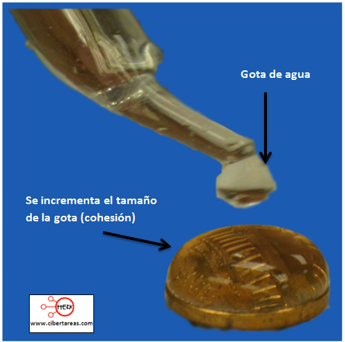 ejemplos de cohesión