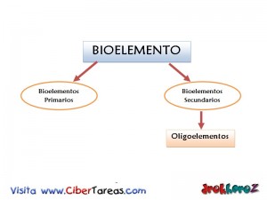 Bioelemento y Oligoelemento-Biologia 1