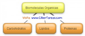 Biomoleculas Organicas-Mapa Conceptual