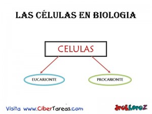Las Celulas en Biologia 1