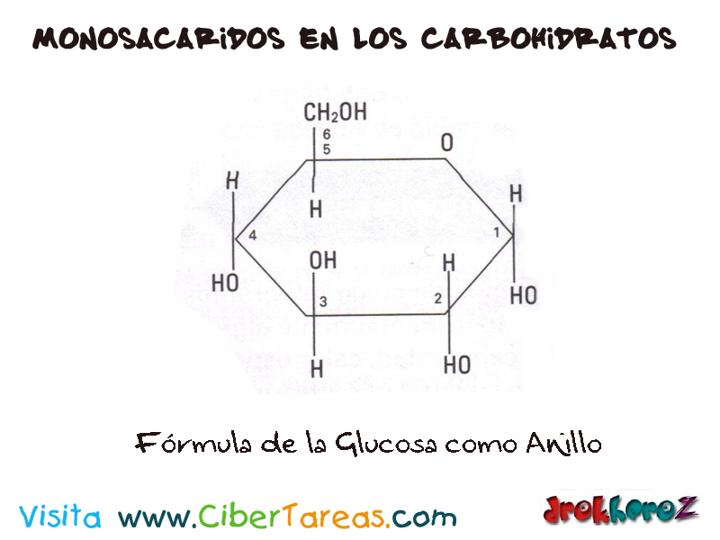 Definicion Y Estructura De Los Carbohidratos Varias Estructuras