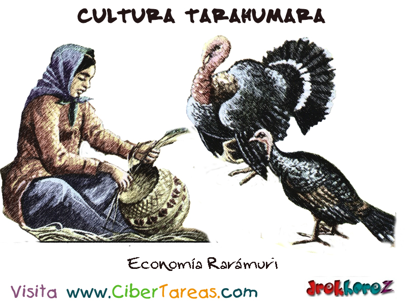 Economía Raramuri Cultura Tarahumara
