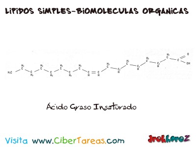 Acido Graso insaturado-Lipidos Simples-Biologia 1