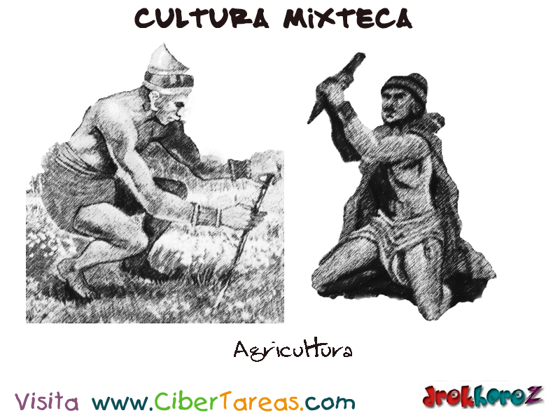 Agricultura – Cultura Mixteca – CiberTareas