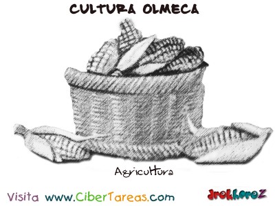 Agricultura-Cultura Olmeca
