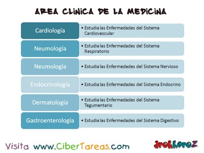 Area Clinica de la Medicina_Ciencias de la Salud
