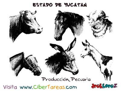 Produccion Pecuaria-Estado de Yucatan