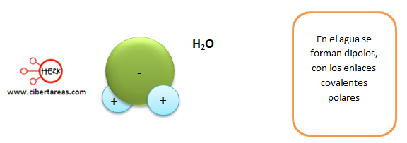 enlace covalente polar