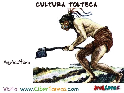 Agricultura - Cultura Tolteca