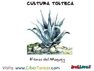 Fibras del Maguey - Cultura Tolteca