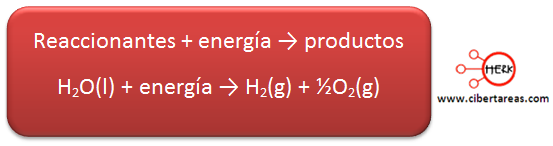 reaccion endoterminca formula ejemplo