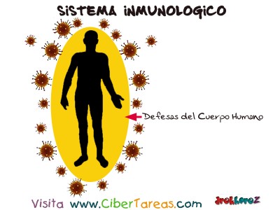 Defensas del Cuerpo Humano - Sistema Inmundologico