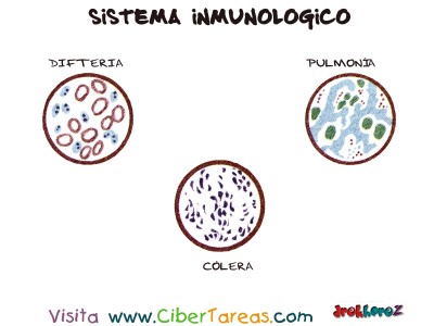 Difteria Colera y Pulmonia - Sistema Inmunologico