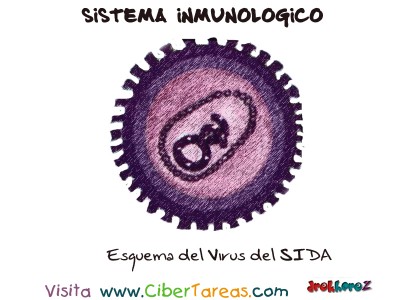 Esquema del Virus del SIDA - Sistema Inmunologico
