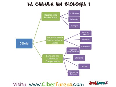 Mapa Conceptual de la Celula - Bilogia 1