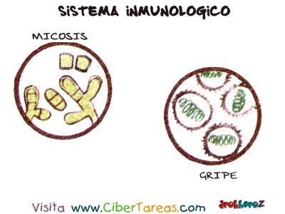 Micosis y Gripe - Sistema Inmunologico