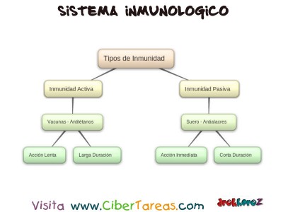 Tipos de Inmunidad _ Mapa - Sistema Inmunologico