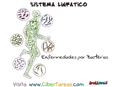 Enfermedades por Bacterias - Sistema Linfatico