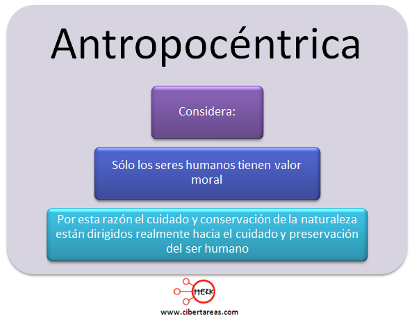 antoprocentrica definicion mapa conceptual etica y valores