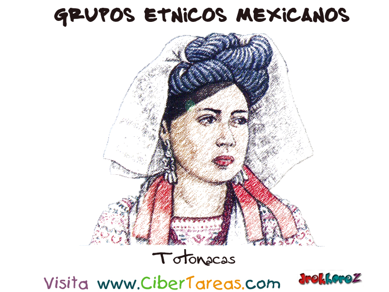  Totonacas – Grupos Étnicos Mexicanos – CiberTareas