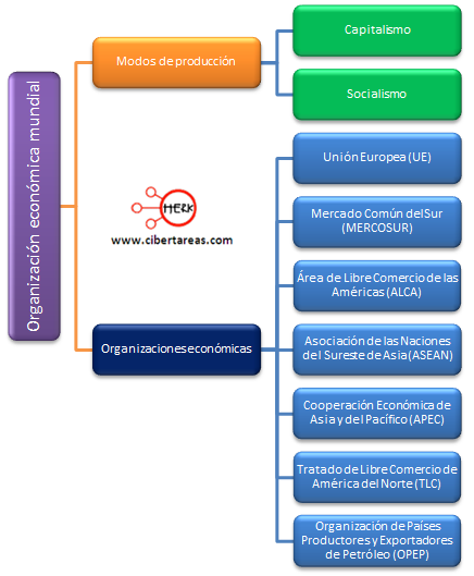 organizacion economica