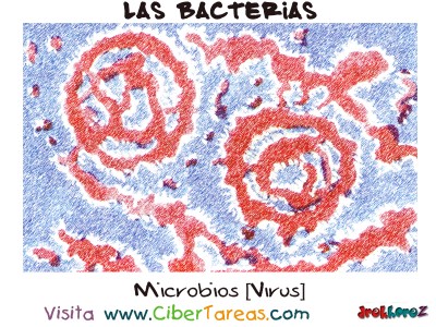 Imagen de Microbios [ virus ] - Las Bacterias