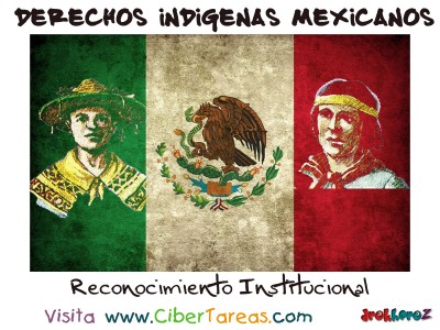 Reconocimiento Institucional - Derechos Indigenas Mexicanos