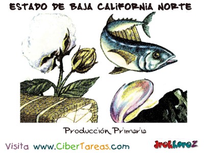 Produccion Primaria - Estado de Baja California Norte