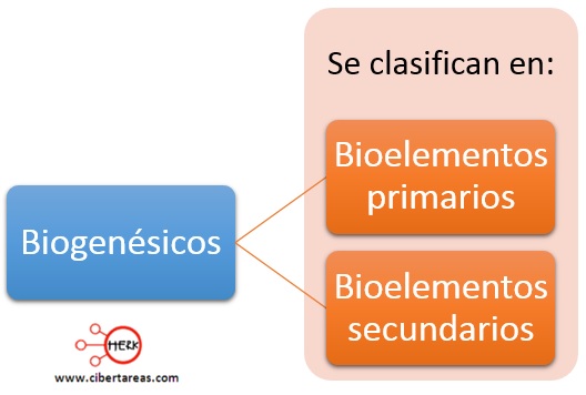 clasificacion de los elementos biogenesicos