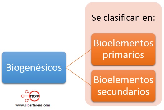 Componentes Del Software Cuales Son Los Carbohidratos Saludables