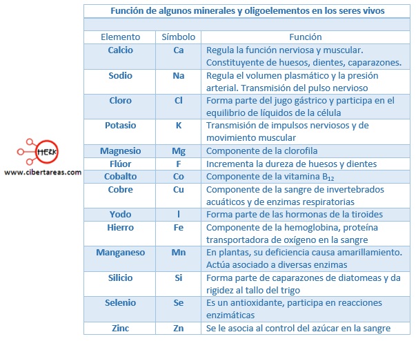 Que Son Los Bioelementos Y Su Clasificacion Actualizado En 2020 Images 8277