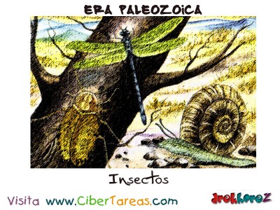 Insectos - Era Paleozoica Prehistoria