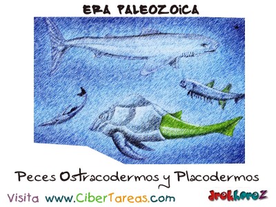 Peces Ostracodermos y Placodermos - Era Paleozoica Prehistoria