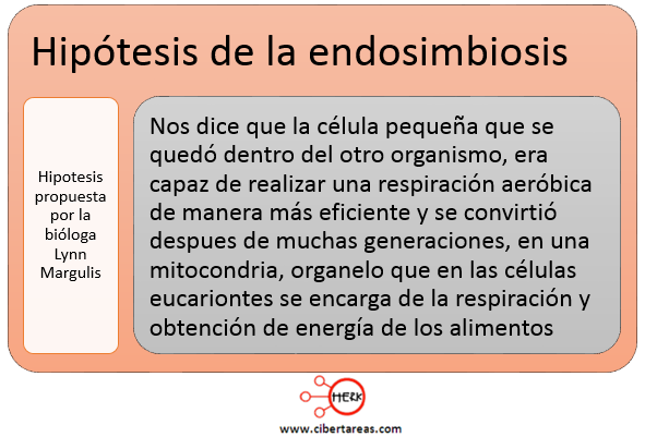 hipotesis de la endosimbiotica