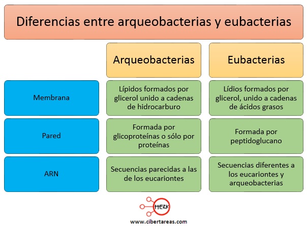 Resultado de imagen para dominio archaea