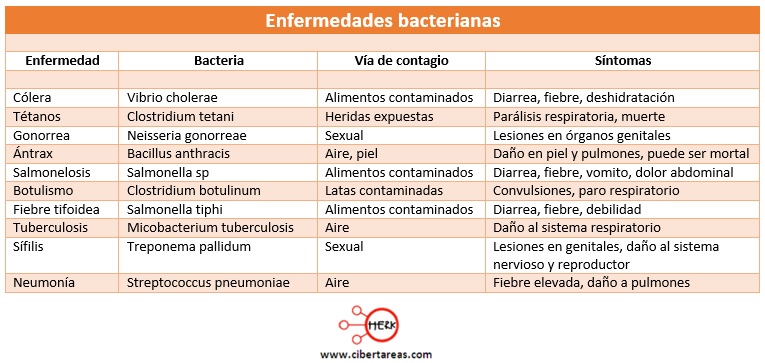 enfermedades bacterianas