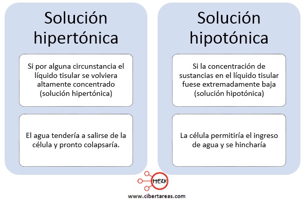solucion hipertonica solucion hipotonica quimica