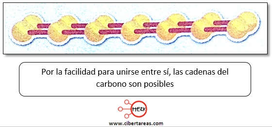 cadenas de carbono quimica