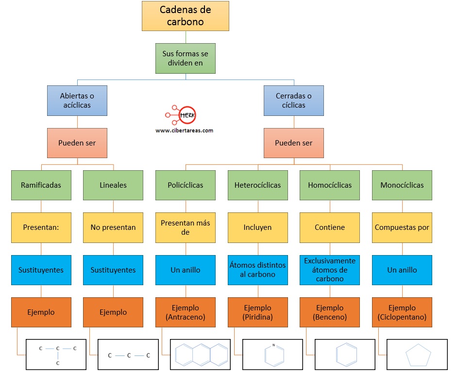 mapa conceptual cadenas de carbono