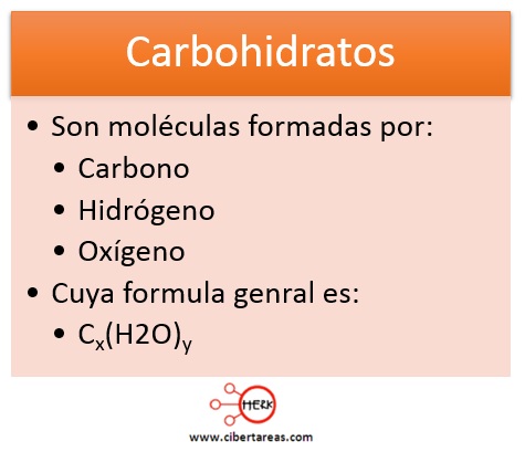 concepto de carbohidratos quimica