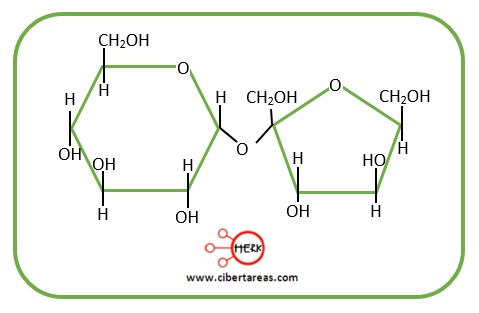 estructura molecula sacarosa