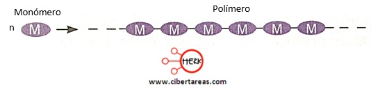 esquema de  los polimeros quimica 2
