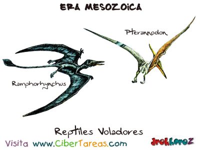 Reptiles Voladores - Era Mesozoica