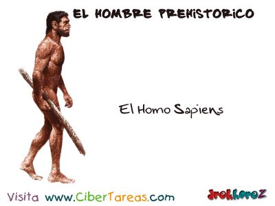 El Homo Sapiens El Hombre Primitivo