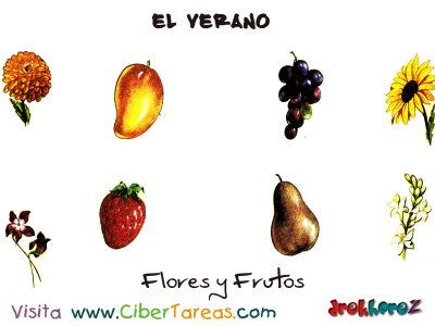 Flores y Frutas El Verano